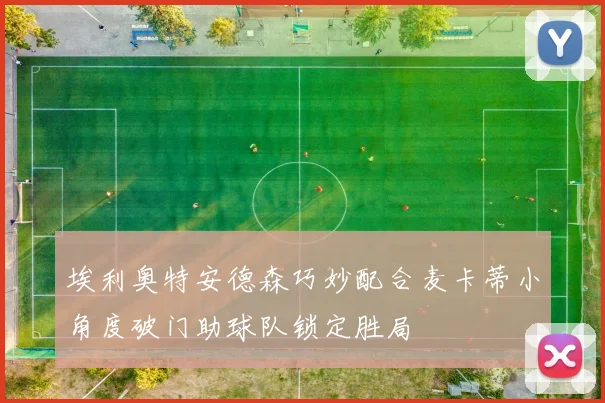埃利奥特安德森巧妙配合麦卡蒂小角度破门助球队锁定胜局